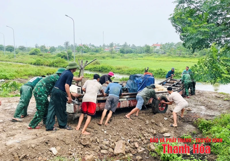 Ngư dân Thanh Hóa khẩn trương đưa tàu thuyền tránh trú bão an toàn