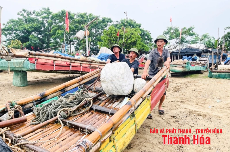 Ngư dân Thanh Hóa khẩn trương đưa tàu thuyền tránh trú bão an toàn