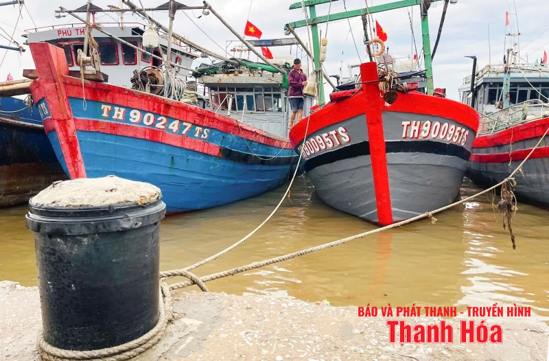 Ngư dân Thanh Hóa khẩn trương đưa tàu thuyền tránh trú bão an toàn