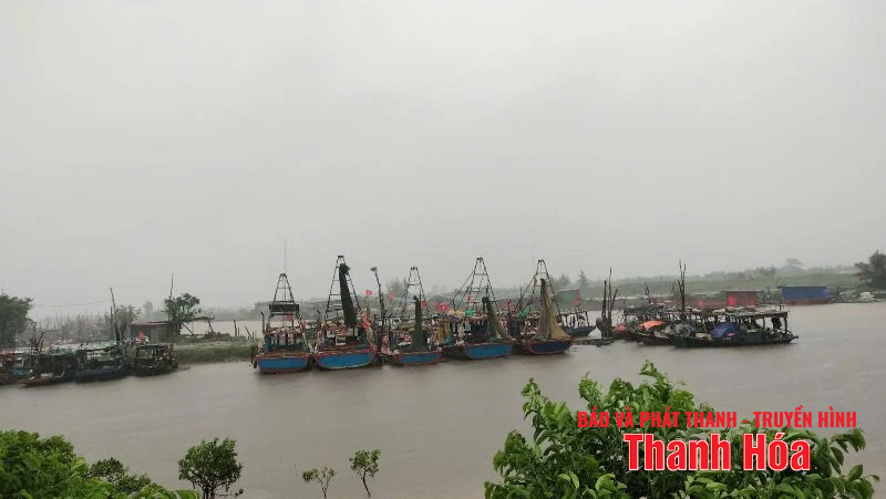 Các địa phương vùng biển Bắc Thanh Hóa: Linh hoạt tiêu úng, bảo vệ sản xuất sau khi bão đổ bộ