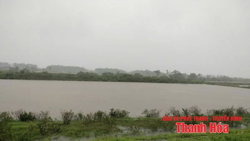 Các địa phương vùng biển Bắc Thanh Hóa: Linh hoạt tiêu úng, bảo vệ sản xuất sau khi bão đổ bộ