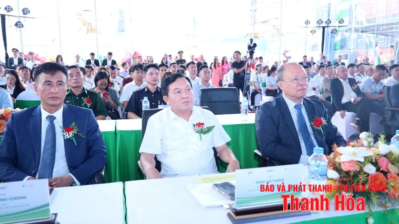 Khai trương tuyến vận tải container ven biển Hải Phòng - Nghi Sơn