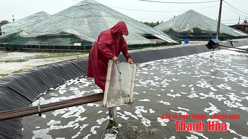 Người nuôi trồng thuỷ sản chủ động ứng phó với mưa, bão
