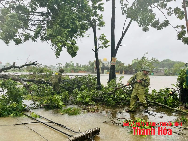 Phường Nam Sầm Sơn: Khẩn trương khắc phục hậu quả do mưa bão gây ra