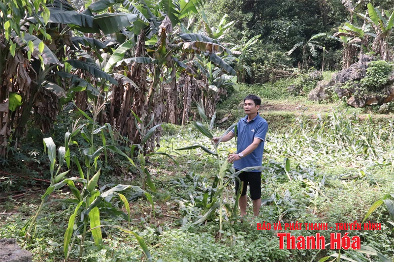 Bí thư chi bộ, trưởng thôn nhiệt huyết với công việc