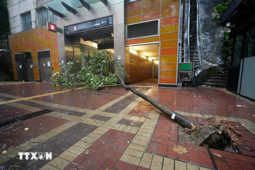 Trung Quốc triển khai nhiều biện pháp ứng phó cơn bão Wipha