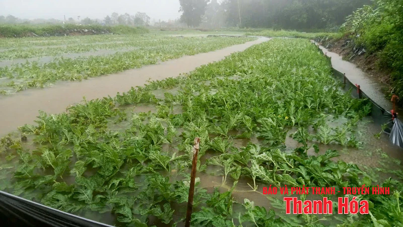 Các địa phương trong tỉnh chủ động sơ tán người dân đến nơi an toàn