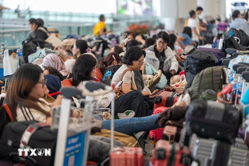 Bão Wipha có thể khiến Hong Kong thiệt hại 255 triệu USD chỉ trong một ngày