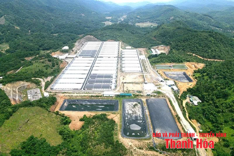 Vẫn “nóng” ô nhiễm môi trường từ các trang trại chăn nuôi