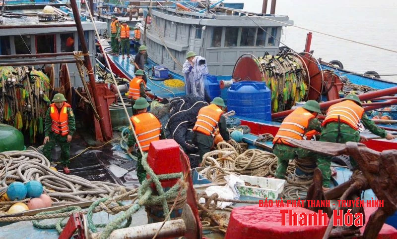 Các lực lượng quân sự, biên phòng hỗ trợ Nhân dân trước khi bão đổ bộ