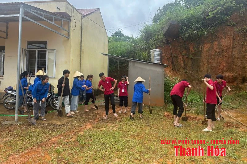 100% đoàn viên thanh niên xã, phường ra quân dọn dẹp vệ sinh sau bão