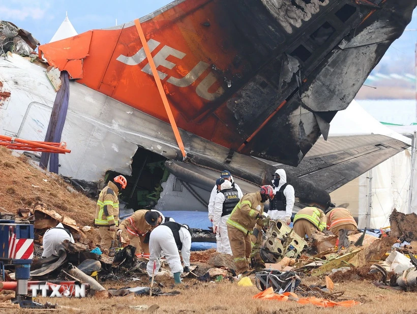 Hàn Quốc: Hé lộ khả năng phi công tắt nhầm động cơ trong thảm kịch Jeju Air