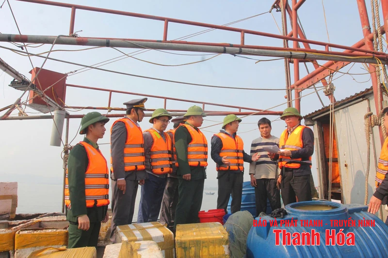 Tăng cường giám sát thủy sản khai thác tại các cảng cá