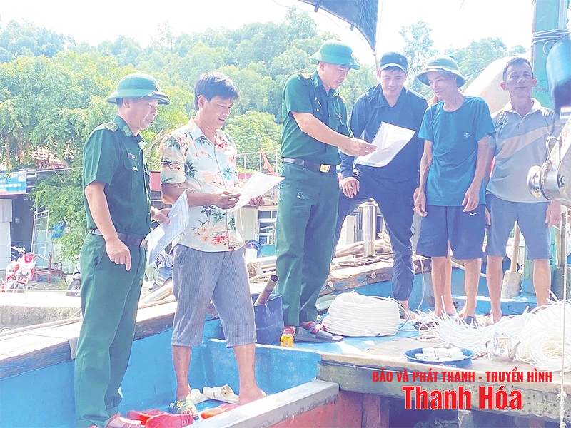 Tăng cường giám sát thủy sản khai thác tại các cảng cá