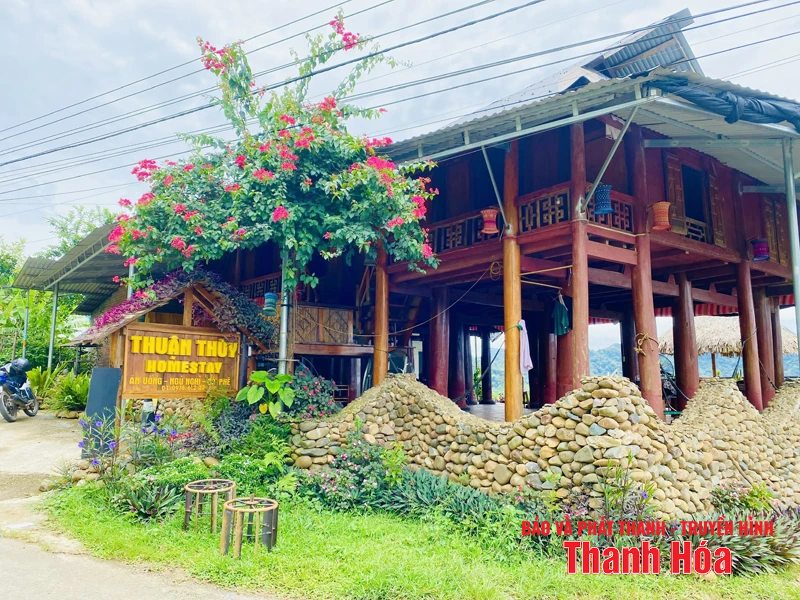 Đại ngàn vẫy gọi...