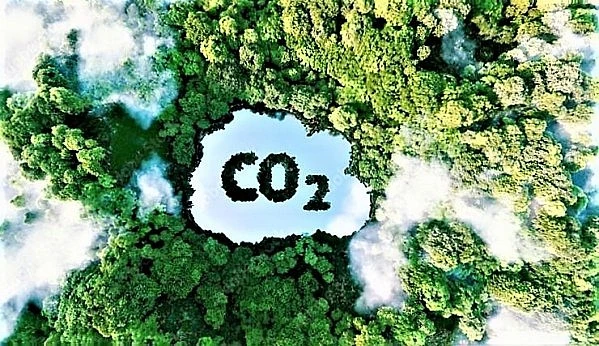 Nhiều chính sách kinh tế nổi bật có hiệu lực từ tháng 8/2025