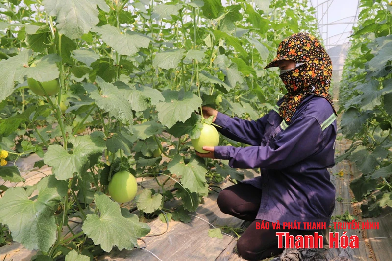 Định Hòa phấn đấu trở thành xã phát triển nhanh, bền vững và từng bước hiện đại