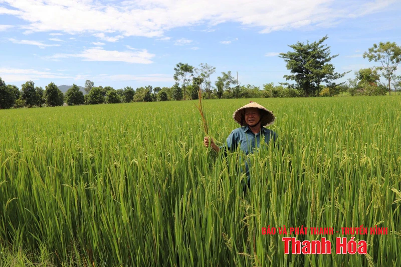 Định Hòa phấn đấu trở thành xã phát triển nhanh, bền vững và từng bước hiện đại