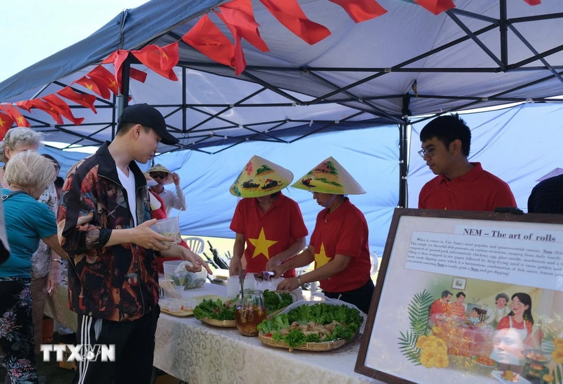 Rực rỡ sắc màu trong lễ kỷ niệm 58 năm Ngày thành lập ASEAN tại Nam Phi