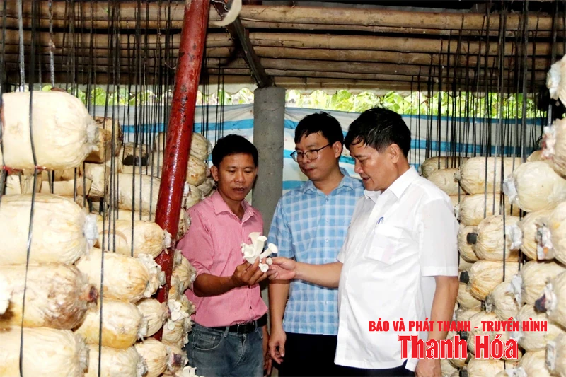 Không gian mới để Yên Phú bứt phá xây dựng xã nông thôn mới nâng cao