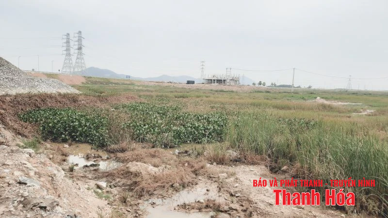 Sớm có giải pháp “cứu” hơn 10ha đất hai lúa cho bà con thôn Làng Mật