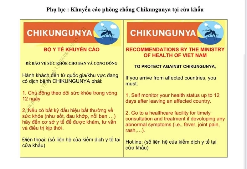 Bộ Y tế phát cảnh báo khẩn sau khi bệnh Chikungunya bùng phát mạnh ở Trung Quốc