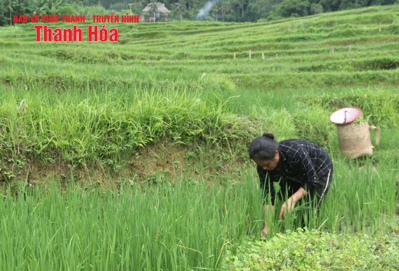 Bản nông thôn mới vùng cao