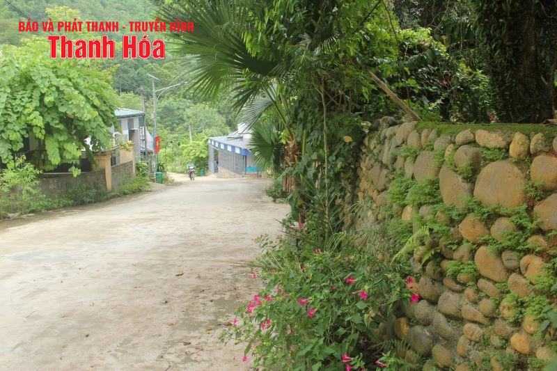 Bản nông thôn mới vùng cao