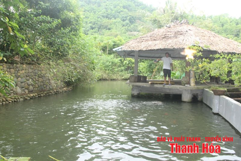 Bản nông thôn mới vùng cao