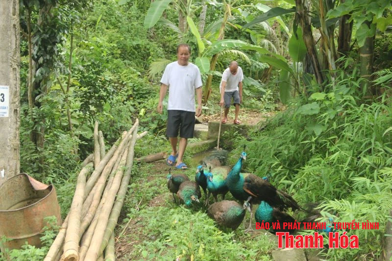 Bản nông thôn mới vùng cao