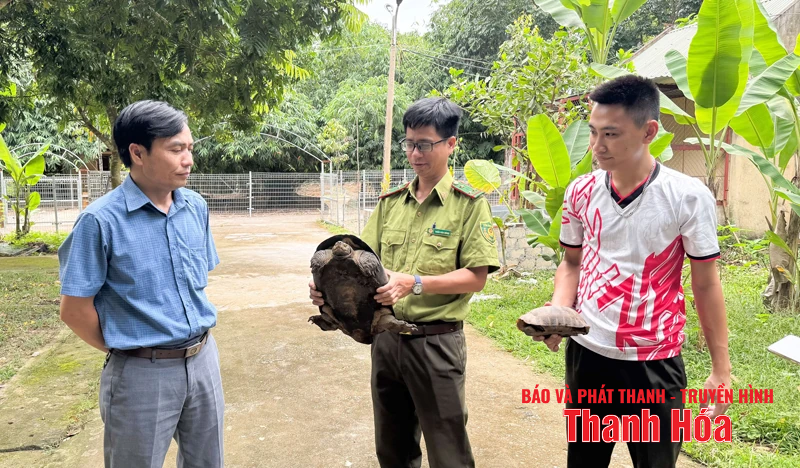 Bảo tồn đa dạng sinh học để phát triển bền vững