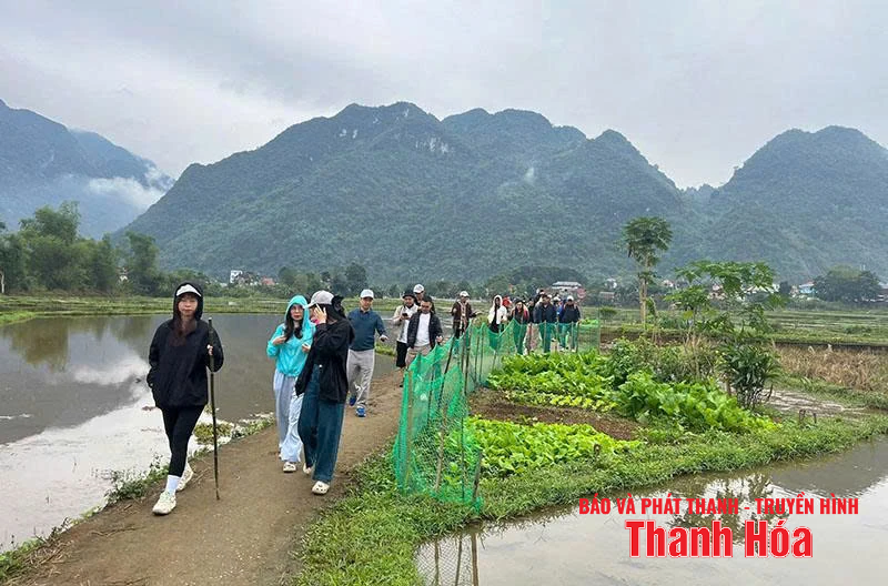 Kích hoạt tối đa động lực, mở đường cho tăng trưởng GRDP (Bài 1): Nền tảng vững chắc