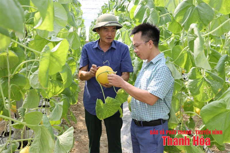 Phát huy lợi thế xã trung tâm để chuyển mình mạnh mẽ