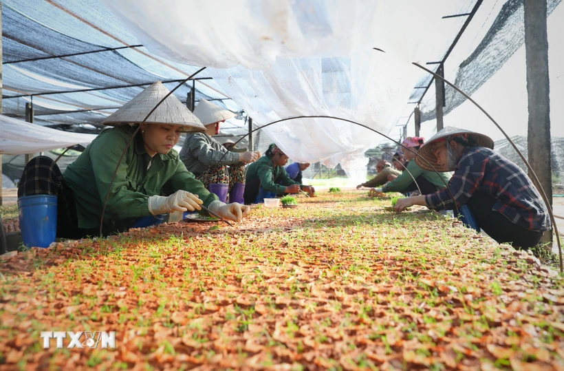 Thực hiện Nghị quyết 68: Không tô hồng và phải 'đong, đếm được'