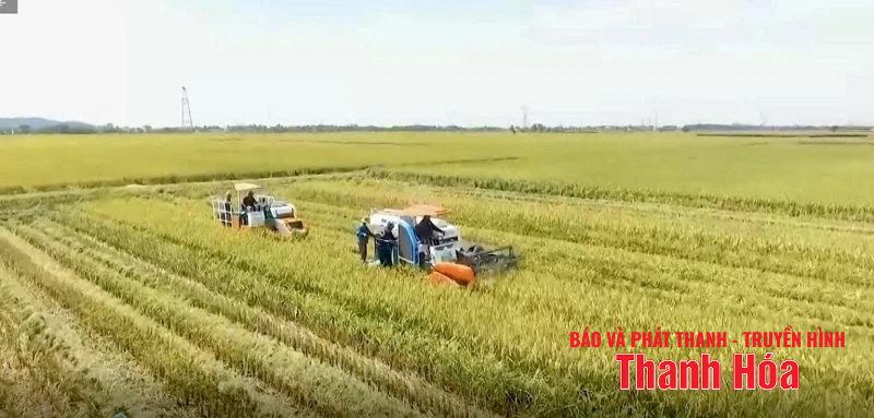 Xã Xuân Lập: “Đoàn kết - Dân chủ - Trách nhiệm - Đột phá - Phát triển”