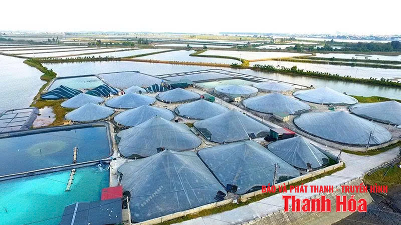 Phát huy truyền thống, xây dựng xã Hoằng Châu phát triển năng động và bền vững