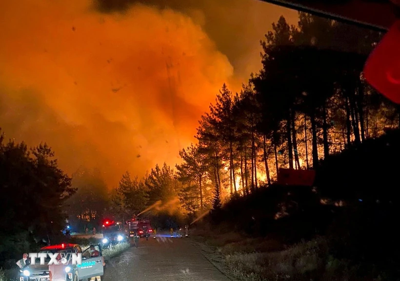 Cháy rừng ở nhiều nước châu Âu: Cựu thị trưởng tử vong khi tham gia chữa cháy