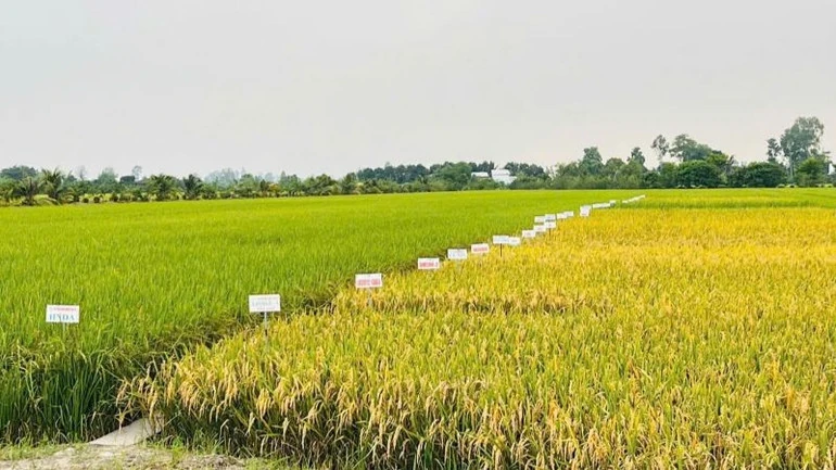 Một số quy định mới về đất đai áp dụng từ ngày 15/8/2025