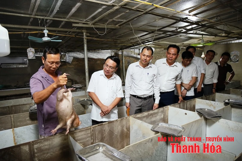 Đảng bộ xã Tân Ninh hội tụ sức mạnh, bứt phá toàn diện