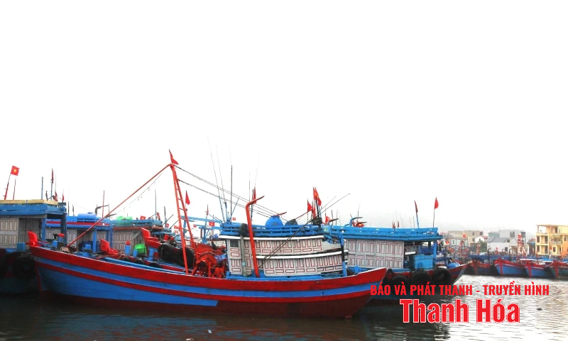 Thanh Hoá thực hiện cấm biển từ 8 giờ sáng 24/8