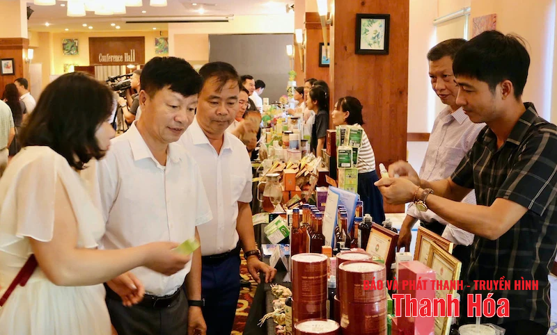 VCCI Thanh Hóa - Ninh Bình kết nối giao thương, xúc tiến thương mại