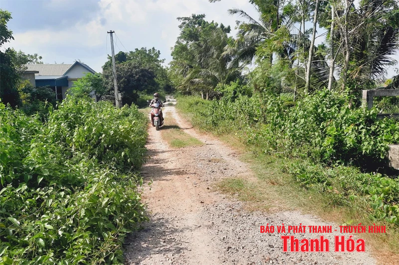 Thấp thỏm những tuyến đê xung yếu qua địa bàn xã Thắng Lợi