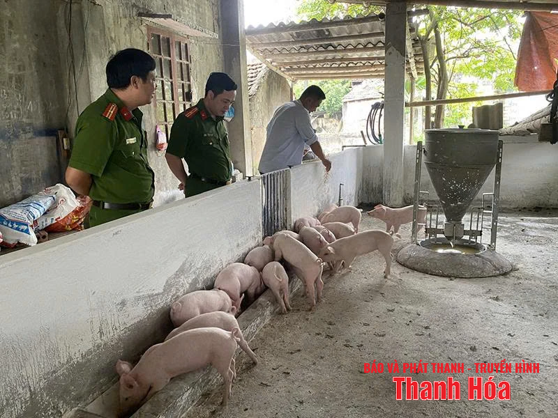 Đường về nẻo thiện