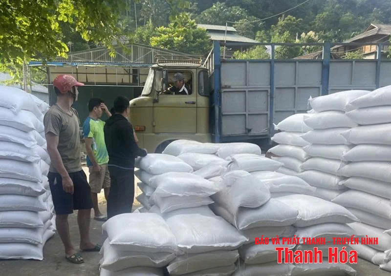 Hạt gạo giữ rừng vùng biên!