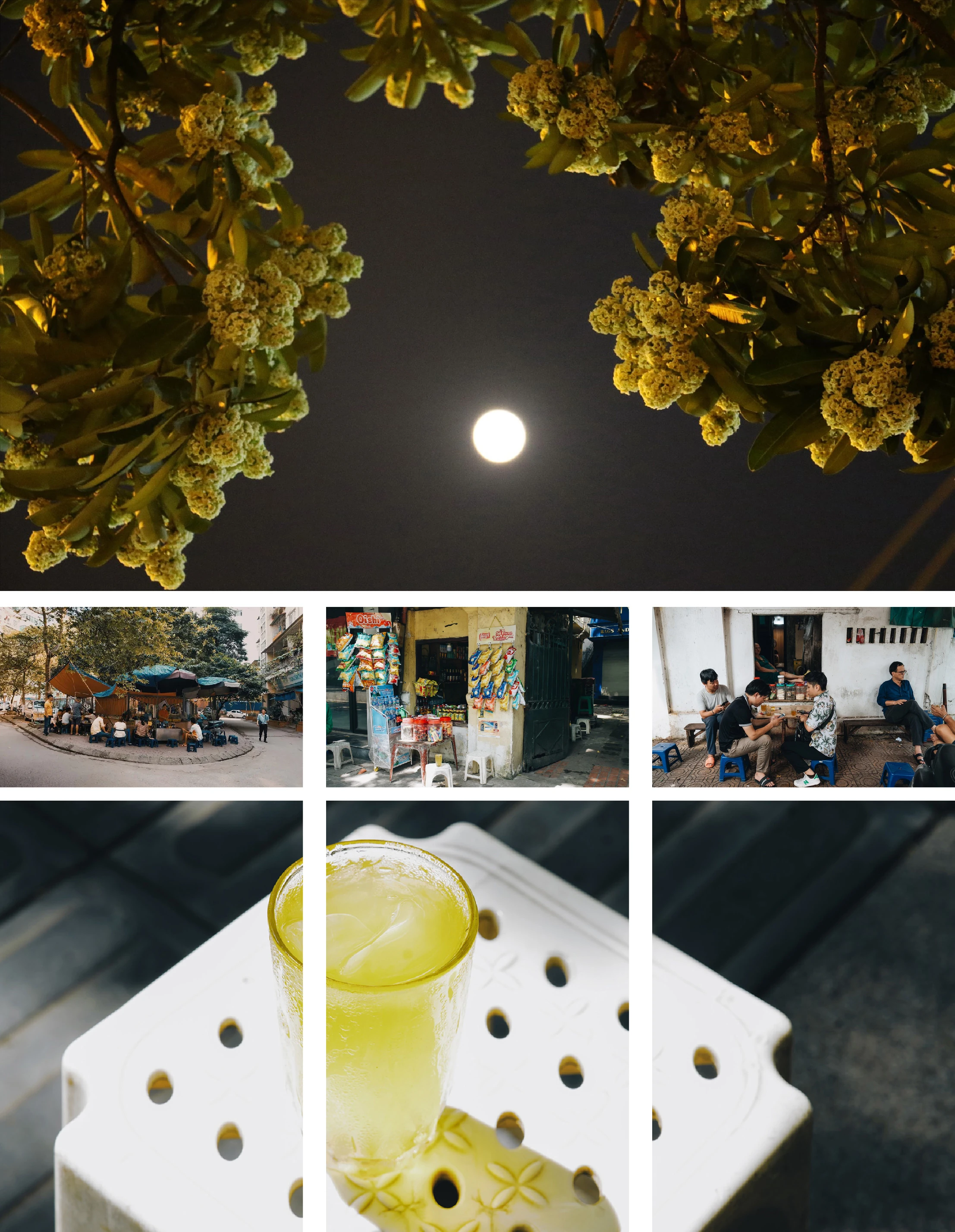 [E-Magazine]: Nơi ấy đắm say đến ngẩn ngơ lòng