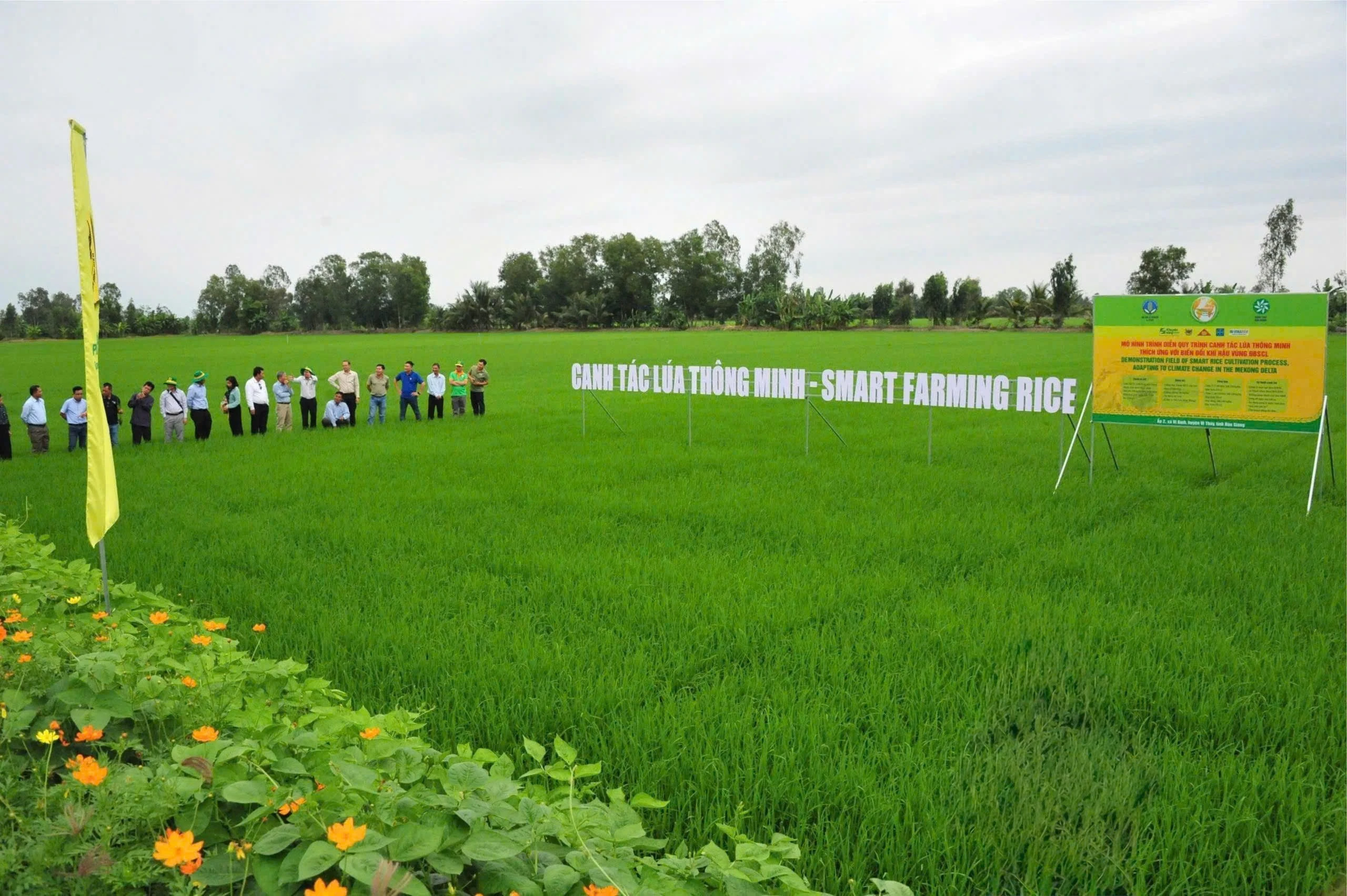 Bình Điền - Hành trình hơn nửa thế kỷ phụng sự nông dân và tầm nhìn tiên phong xanh hóa - số hóa