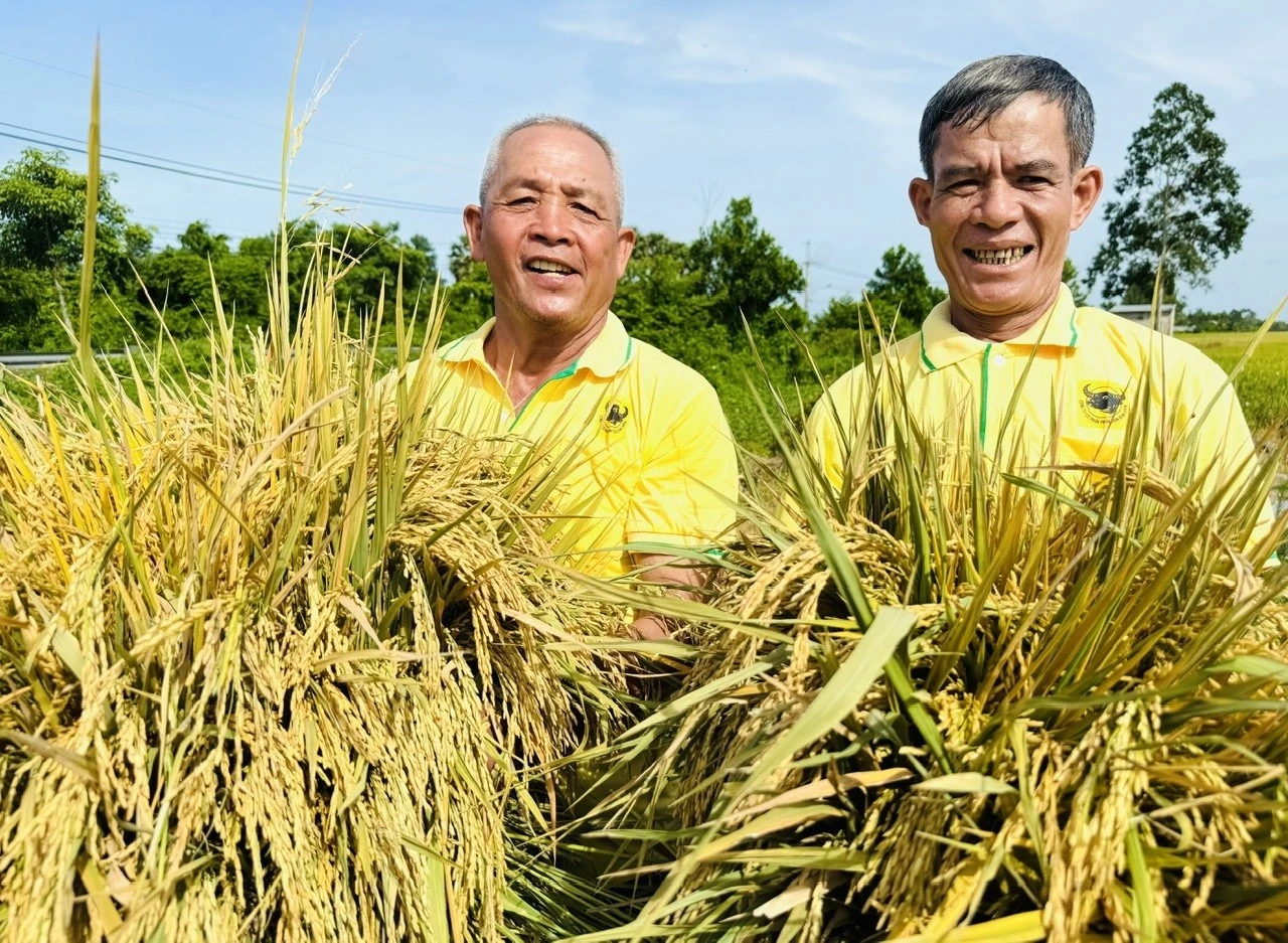 Bình Điền - Hành trình hơn nửa thế kỷ phụng sự nông dân và tầm nhìn tiên phong xanh hóa - số hóa