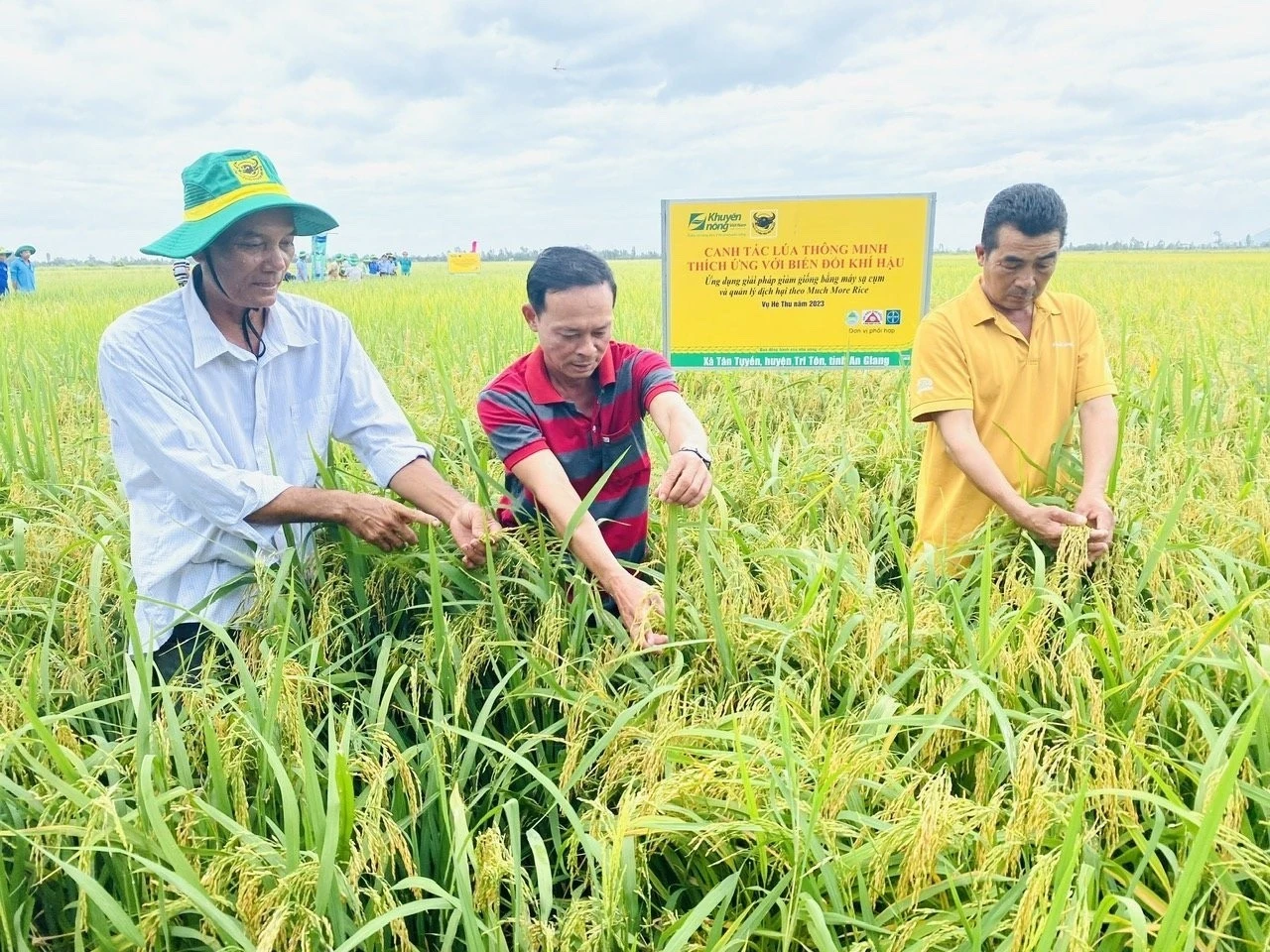 Bình Điền - Hành trình hơn nửa thế kỷ phụng sự nông dân và tầm nhìn tiên phong xanh hóa - số hóa