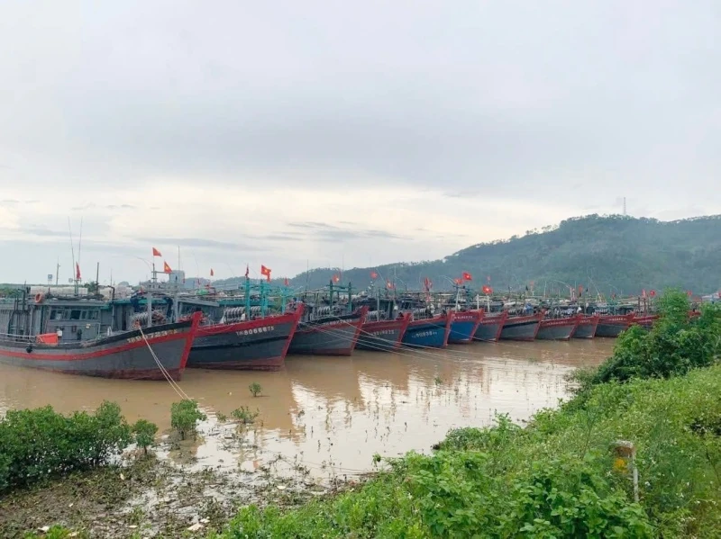 BĐBP chủ động, quyết liệt, không để bị động bất ngờ trong phòng chống bão số 5