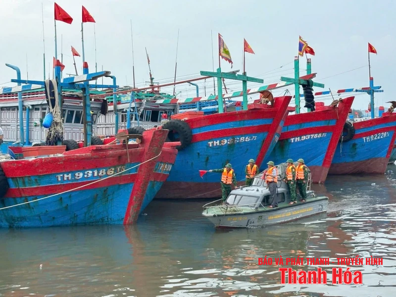 BĐBP chủ động, quyết liệt, không để bị động bất ngờ trong phòng chống bão số 5